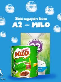 Cách pha sữa A2 với Milo Úc